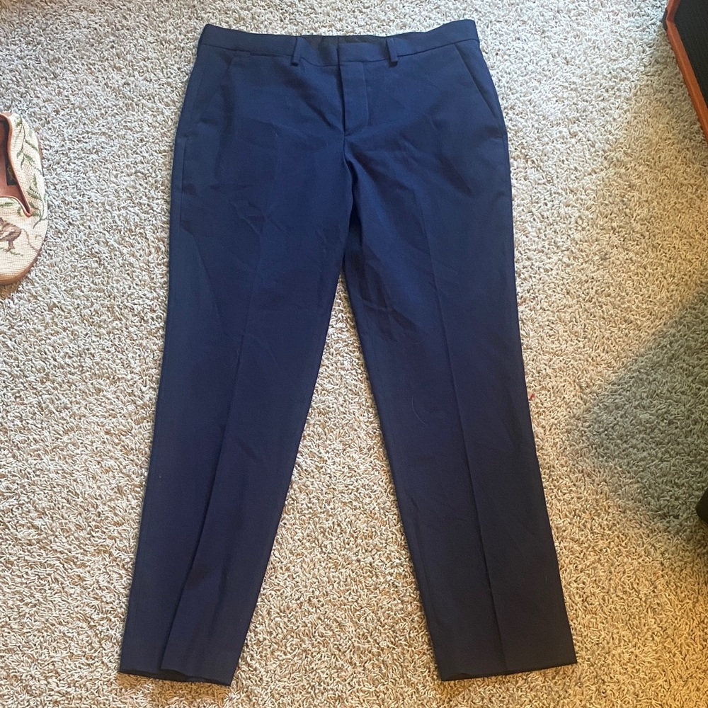Express Men's Deep Blue Dress Pants